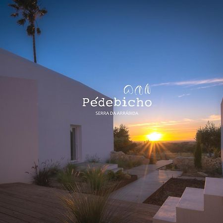 Pedebicho Serra Da Arrabida Country Inn And Studios Azeitao Εξωτερικό φωτογραφία